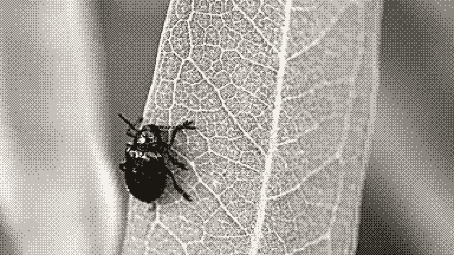 A small beetle walking across a leaf