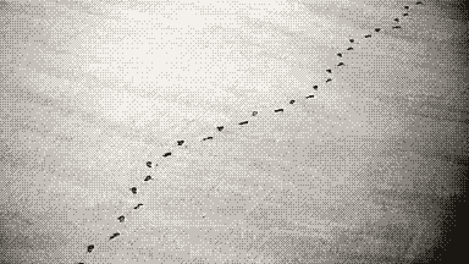 A trail of footprints crossing smooth sand, seen from above